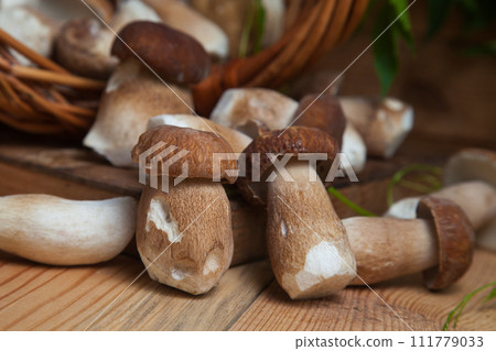 Selective focus on beautyfull porcini mushroom among the pile of wild porcini mushrooms on wooden background at autumn season.. Selective focus on beautyfull porcini mushroom among the pile of wild porcini mushrooms on wooden background at autumn season.. 111779033