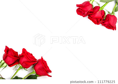 beautiful red rose with leaves isolated on white background with copy space for your text. Top view. Flat lay pattern 111779225