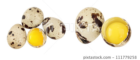 Raw quail egg isolated on white background with full depth of field. Top view. Flat lay Raw quail egg isolated on white background with full depth of field. Top view. Flat lay 111779258