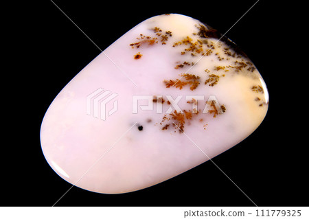 樹枝狀瑪瑙 蘊含風景的石頭 樹枝狀瑪瑙 蘊含風景的石頭 111779325
