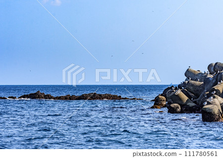 Remote island route between Miyagi Onagawa Town and Dejima Eshima 111780561