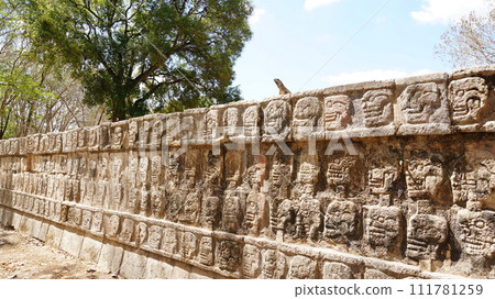 牆上有骷髏的基座、Tzompantli 和鬣蜥 [奇琴伊察，墨西哥] 111781259