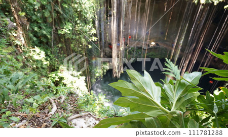 奇琴伊察東部維護良好的天然溶井 [墨西哥奇琴伊察] 111781288