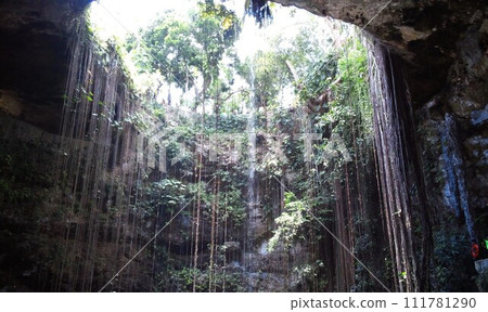 奇琴伊察東部維護良好的天然溶井 [墨西哥奇琴伊察] 111781290