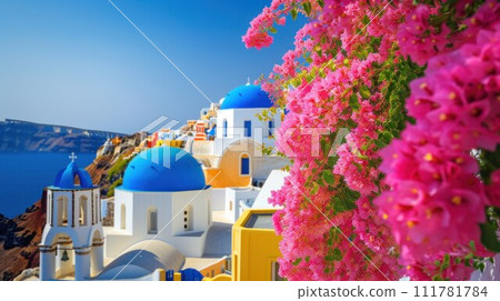 Colorful pretty pink Bougainvillea blooming with white and yellow buildings Colorful pretty pink Bougainvillea blooming with white and yellow buildings 111781784