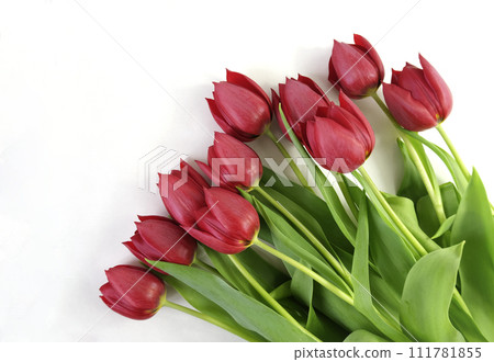 Red tulip flowers bouquet flatlay on white background, early spring romantic holiday gift top view concept with copy space, Mother's day, St Valentine day design, selective focus 111781855