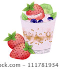 Fruit Yogurt 111781934