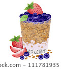 Fruit Yogurt 111781935