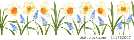 Floral seamless border with spring flowers blue hyacinth and daffodils. Floral seamless border with spring flowers blue hyacinth and daffodils. 111782007