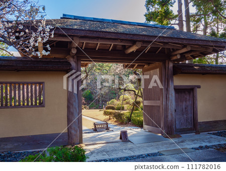 A view of the Kabutomon gate of the former Yoshida Shigeru residence with white plum blossoms in bloom. A view of the Kabutomon gate of the former Yoshida Shigeru residence with white plum blossoms in bloom. 111782016