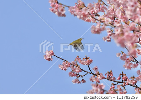 Meal with cherry honey 111782259