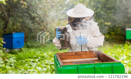 Senior beekeeper with fumigator near the hive 111782296