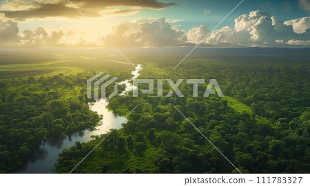 Aerial view of Amazon rainforest in Brazil, South America. Green forest. Bird's-eye view Aerial view of Amazon rainforest in Brazil, South America. Green forest. Bird's-eye view 111783327