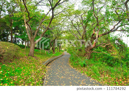 紅葉豐潟公園(新潟縣) 紅葉豐潟公園(新潟縣) 111784292