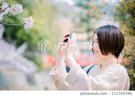 一名年輕女子在京都春季觀光期間看櫻花 111784390