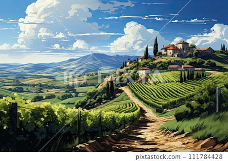 Beautiful landscape of Vineyards in European region in summer season comeliness 111784428