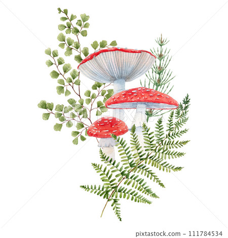 Beautiful stock illustration with watercolor hand drawn forest fly agaric amanita mushroom with plant leaves. Clip art nature illustration. 111784534