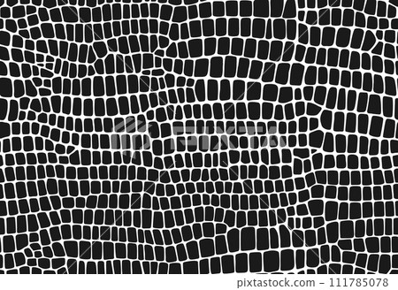 Crocodile, dinosaur and snake skin pattern, reptile animal leather background. Vector monochrome seamless texture with distinctive scales and smooth surface, conveying sophistication and elegance Crocodile, dinosaur and snake skin pattern, reptile animal leather background. Vector monochrome seamless texture with distinctive scales and smooth surface, conveying sophistication and elegance 111785078