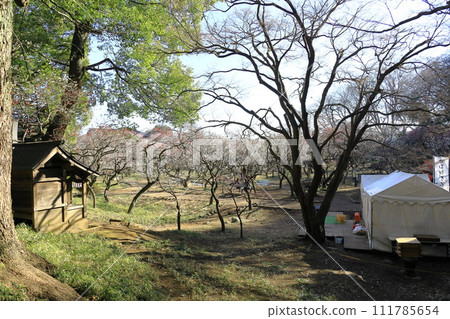 Taniho Tenmangu Shrine Bairin 111785654