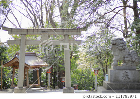 Tanimori Tenmann Palace 111785971