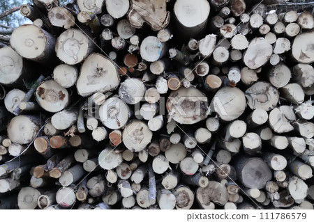 Chopped firewood in the countryside. Chopped firewood in the countryside. 111786579