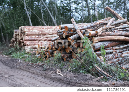 Chopped firewood in the countryside. Chopped firewood in the countryside. 111786591