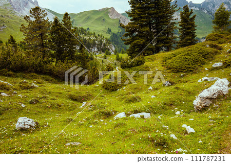landscape with hills, meadow, rocks and trees landscape with hills, meadow, rocks and trees 111787231