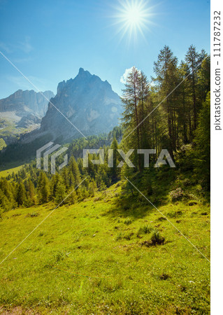 landscape with mountains, meadow and trees landscape with mountains, meadow and trees 111787232