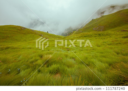 landscape with meadow and fog landscape with meadow and fog 111787240