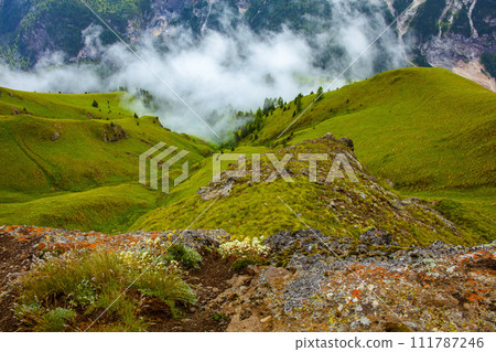 landscape with hills, rocks, trees and fog landscape with hills, rocks, trees and fog 111787246