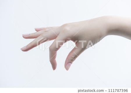 女人的手拿著小東西 5 女人的手拿著小東西 5 111787396