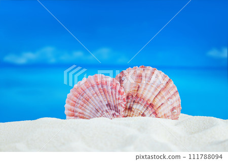 Sea pink shells on sandy beach, behind sea. Concept of vacation, travel in hot countries. Holiday heart. Copy space Sea pink shells on sandy beach, behind sea. Concept of vacation, travel in hot countries. Holiday heart. Copy space 111788094