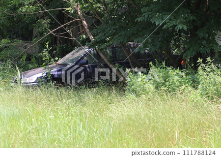 A car left in the grass for many years 111788124