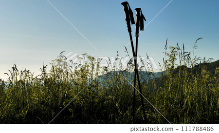 Two trekking poles stuck into the ground against a background of blue sky and green grass. Hiking in the mountains. Summer active holiday. Two trekking poles stuck into the ground against a background of blue sky and green grass. Hiking in the mountains. Summer active holiday. 111788486
