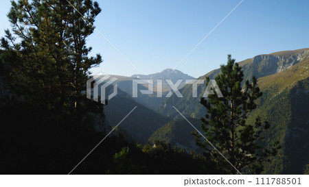 Nice view of a mountain gorge. Pines in the foreground. Clear blue sky. Mountains and cliffs in the national park. 111788501
