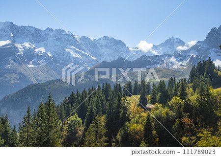 Traditional alpine village in touristic valley Lauterbrunnen, Switzerland attraction 111789023