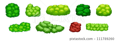 Green Bush of Different Shape as Park Element Vector Set 111789260