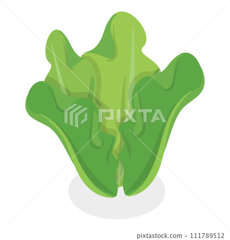 3D Isometric Flat Vector Set of Salad Greens. Item 5 3D Isometric Flat Vector Set of Salad Greens. Item 5 111789512