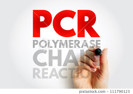PCR Polymerase Chain Reaction - laboratory technique used to amplify DNA sequences, acronym text concept background 111790123
