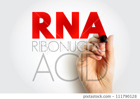 RNA Ribonucleic acid - polymeric molecule essential in various biological roles in regulation and expression of genes, acronym text concept background RNA Ribonucleic acid - polymeric molecule essential in various biological roles in regulation and expression of genes, acronym text concept background 111790128