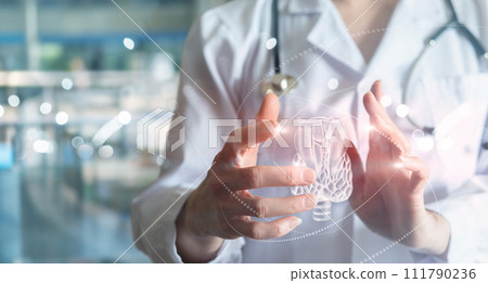 The concept of diagnosis and treatment of the thyroid. The concept of diagnosis and treatment of the thyroid. 111790236