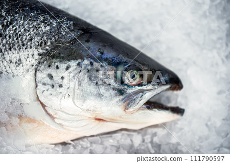 frozen fresh fish (trout, salmon) in the grocery store 111790597