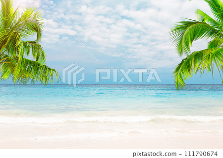 Beautiful white sand beach with turquoise water, coconut palm trees and blue sky with clouds in Punta Cana, Dominican Republic. 111790674