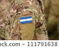 Flag of Nicaragua on soldiers arm (collage). 111791638