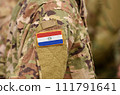 Paraguay flag on soldiers arm. Paraguay troops (collage) 111791641