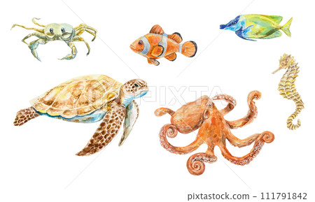 Sea animals set, watercolor. Turtle, octopus, fish, seahorse, crab. Vector illustration. Design element for postcards, travel banners, flyers, labels. Sea animals set, watercolor. Turtle, octopus, fish, seahorse, crab. Vector illustration. Design element for postcards, travel banners, flyers, labels. 111791842