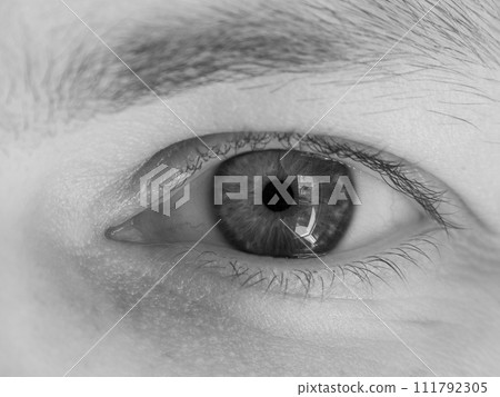 Close-up of a human eye showing intricate details in black and white photography Close-up of a human eye showing intricate details in black and white photography 111792305