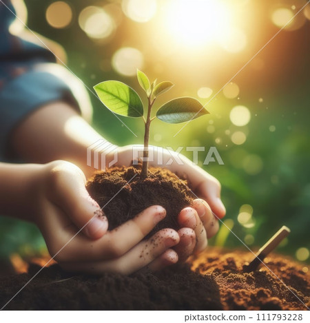 Hands holding and planting a seedling into the earth. Concept of planting, forestation and ecology. Generative ai Hands holding and planting a seedling into the earth. Concept of planting, forestation and ecology. Generative ai 111793228