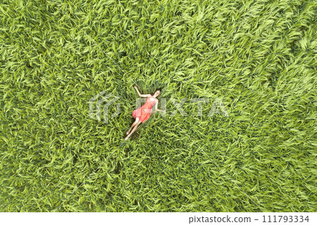 View from above of young attractive slim woman in red dress laying with closed eyes in green wheat field. 111793334