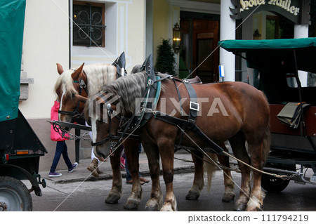德國福森市景馬車 111794219